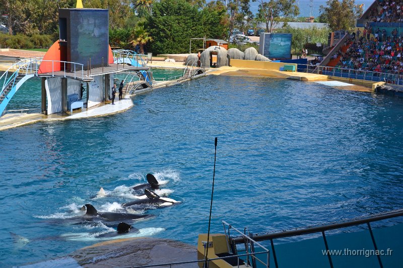 Marineland aout 2014 80.JPG - Marineland - Parc d'attractions aquatiques - Antibes - Août 2014